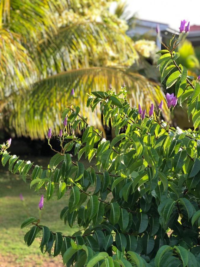 Sunshine Hotel Pulau Little Corn Bagian luar foto